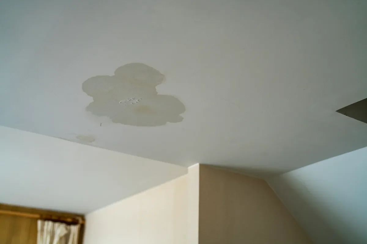 Water Damage in Ceiling