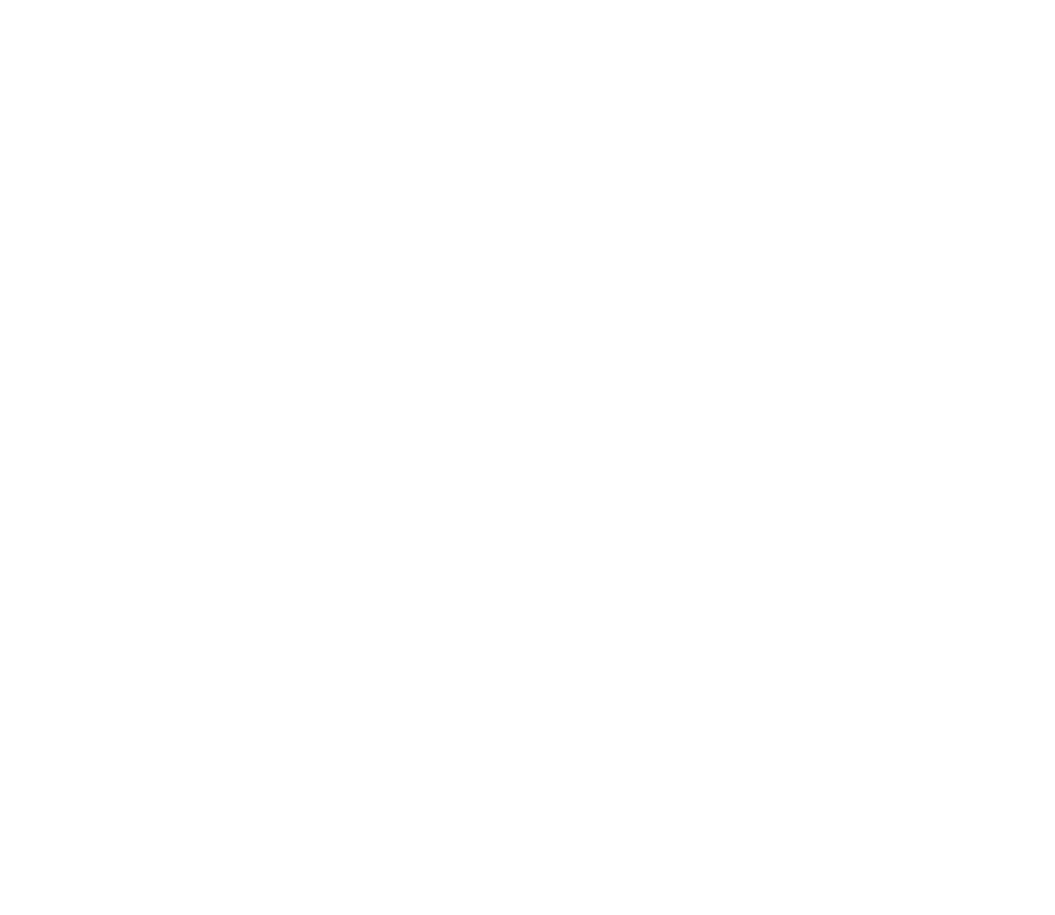 Director - Executive Search