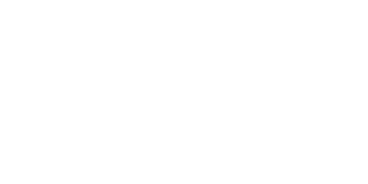 Prospectus Executive Search logo.