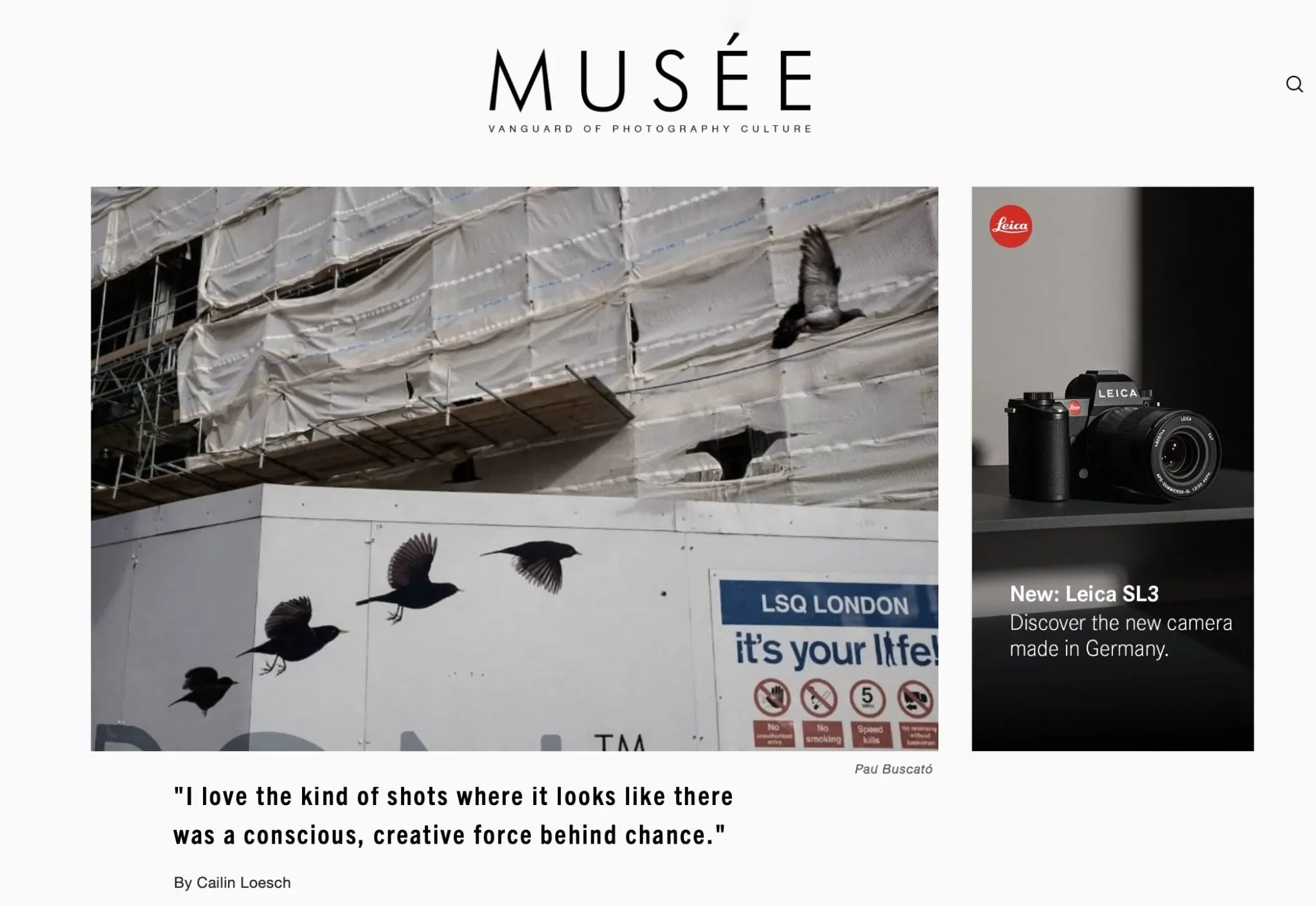 musee-scaled.jpg.webp