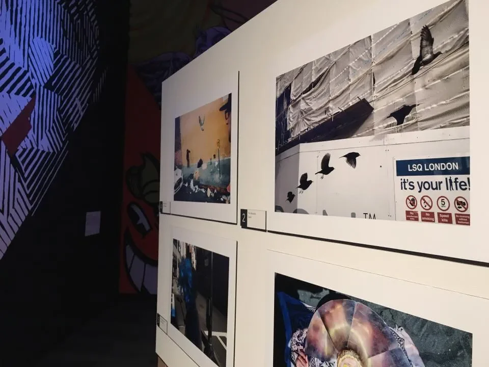 MIAMI STREET PHOTOGRAPHY FESTIVAL 2016