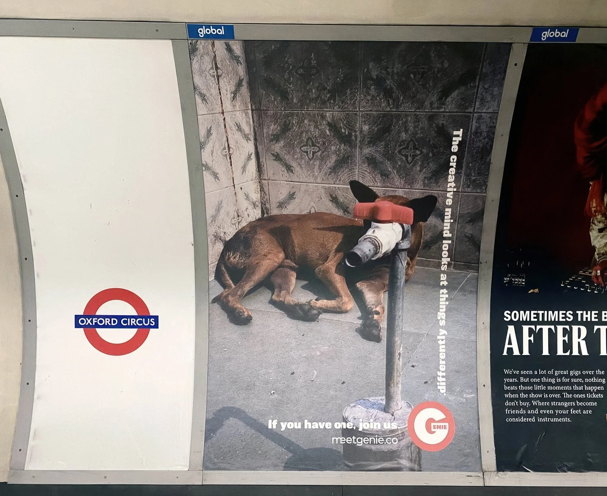 418D00DF-9ECD-4A20-8A9A-A7297BEC5284_1_105_c-gigapixel-high fidelity v2-2048w.jpeg