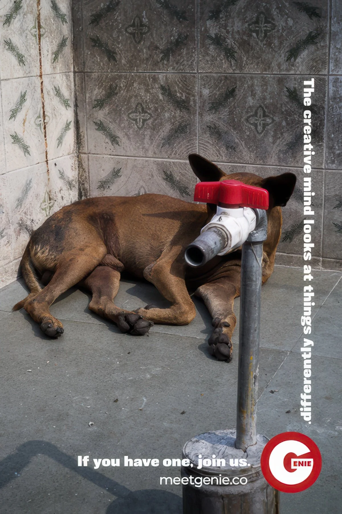 4sheet_4.7.22_Dog-gigapixel-high fidelity v2-1800h.jpg