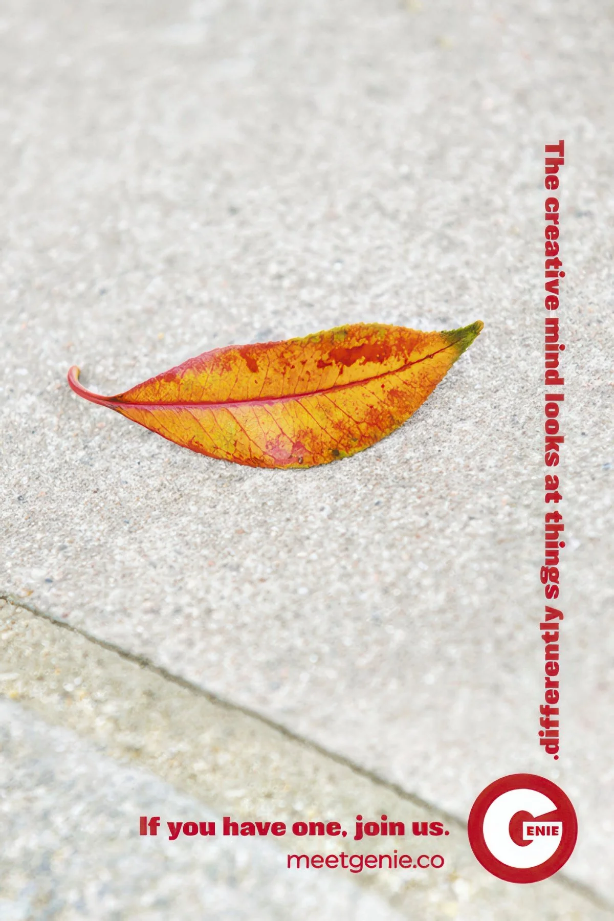 4sheet_4.7.22_Leaf-gigapixel-high fidelity v2-1800h.jpg