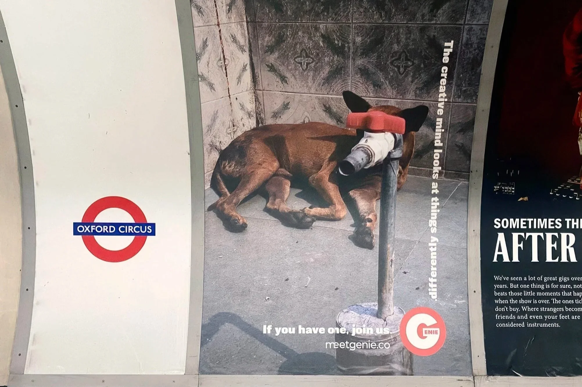 Genie Campaign by Sir John Hegarty