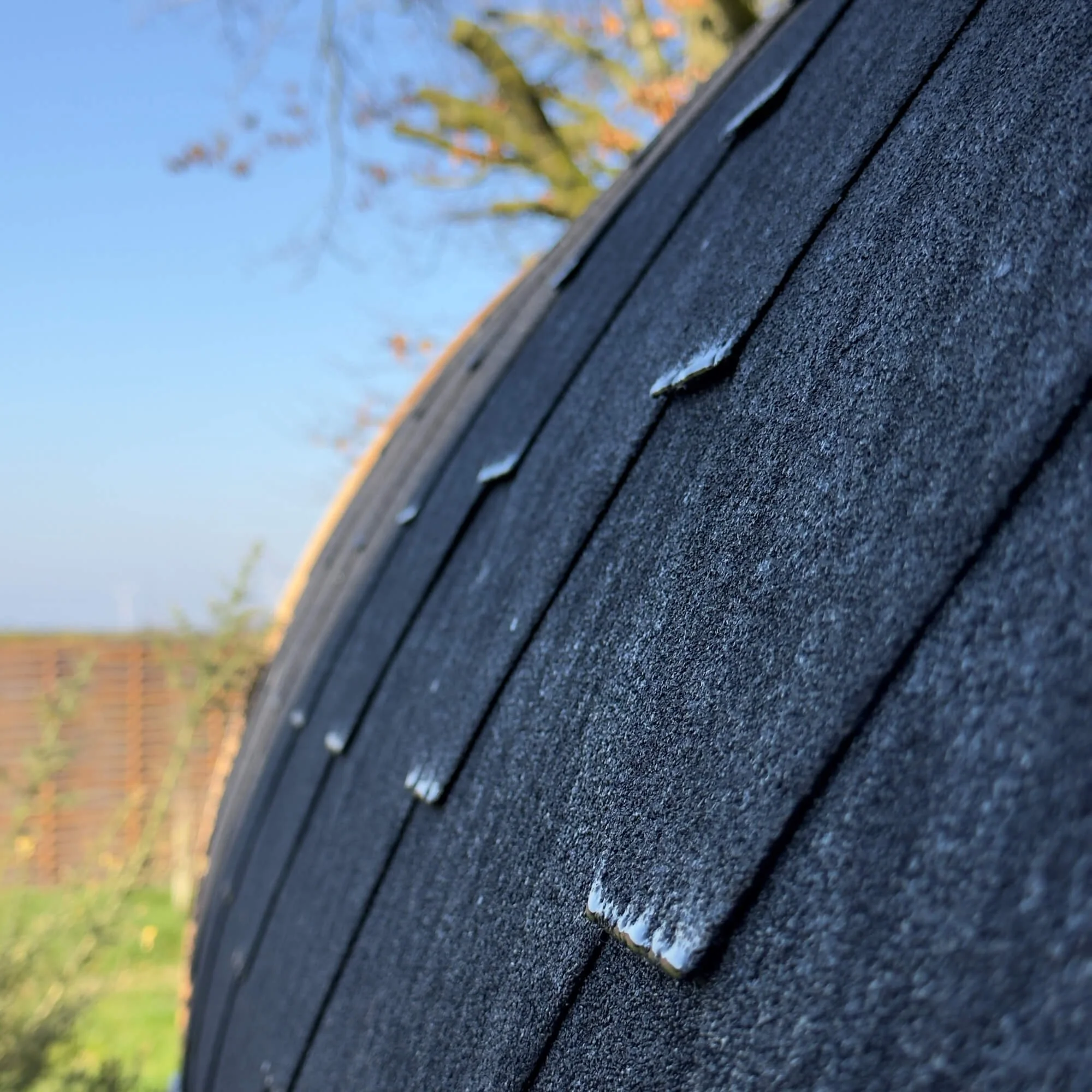 Close-up of a curved roof with black asphalt shingles and some snow on the edges, background showing trees and a clear sky.