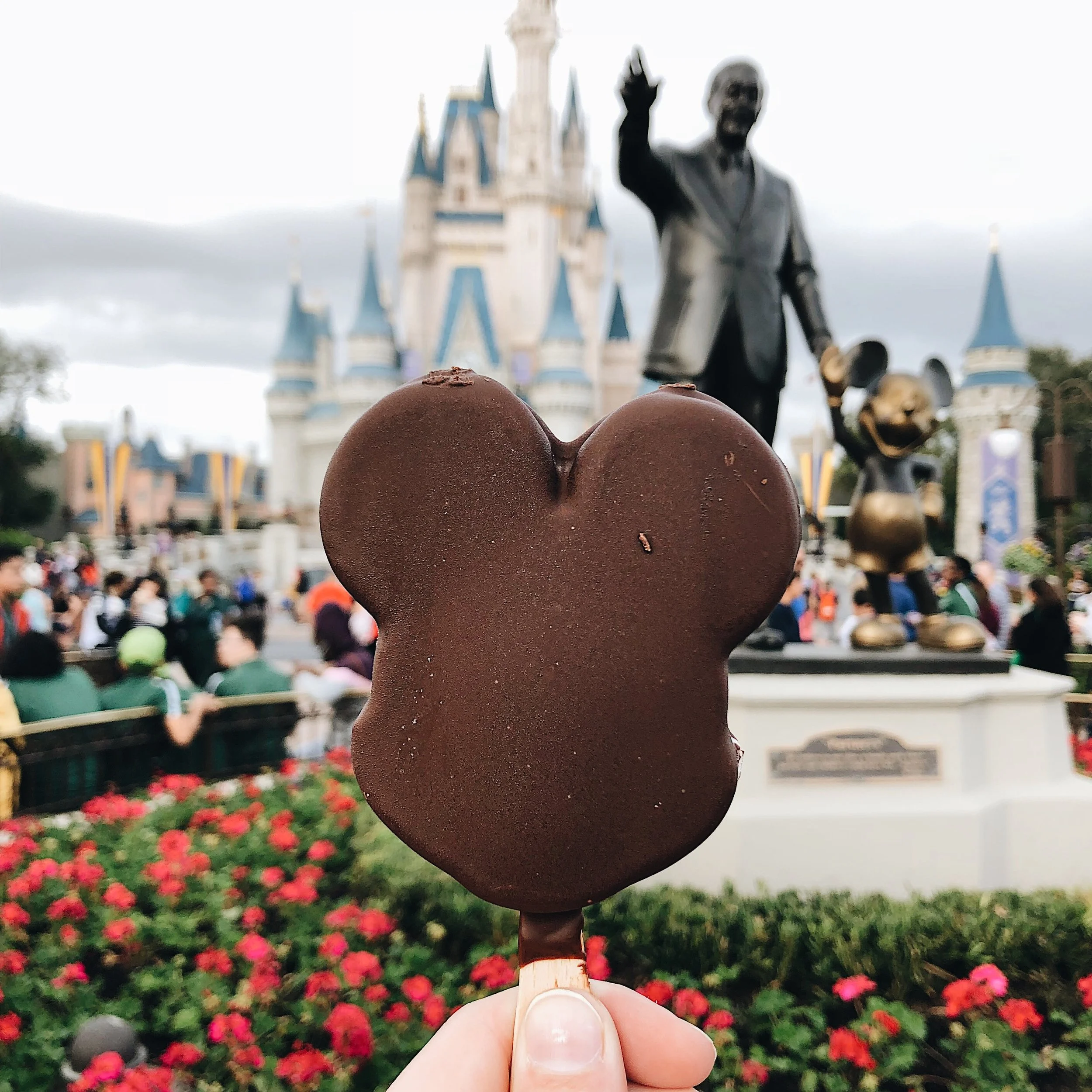 photo jan 26, 4 50 04 pm.jpg