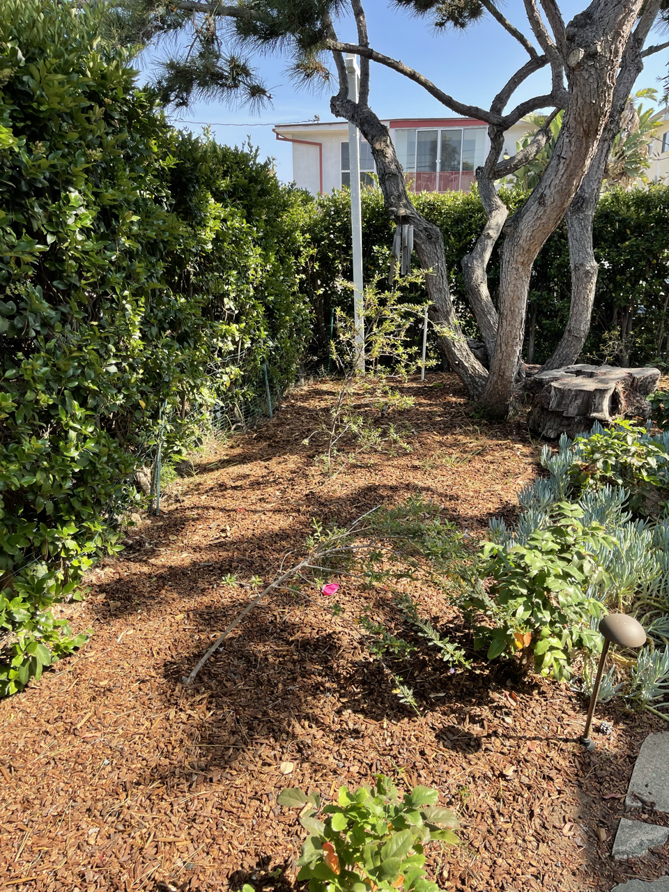 A backyard garden with a large tree, bushes, small plants, and a house in the background. There are garden lights and a small wooden sculpture on the ground.