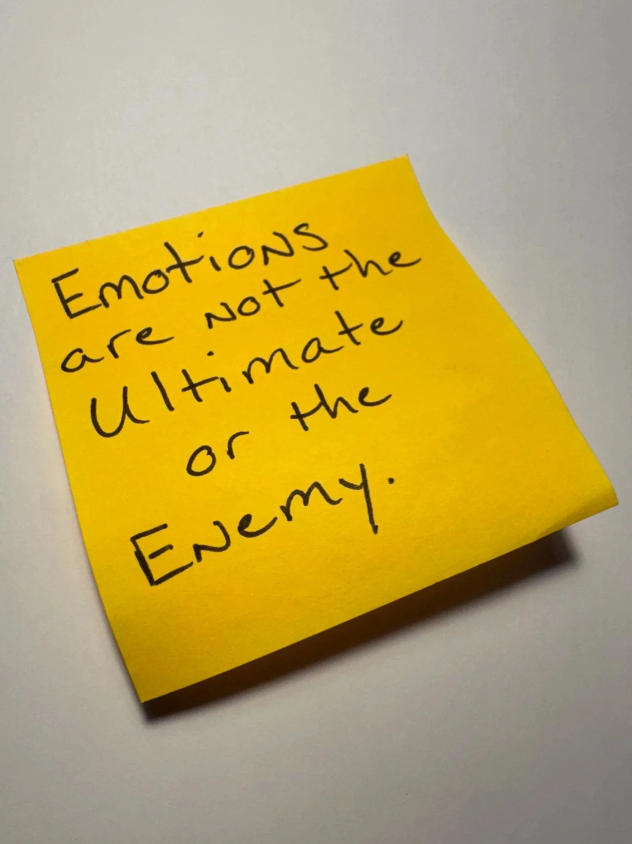 Emotions are not the Ultimate or the enemy.