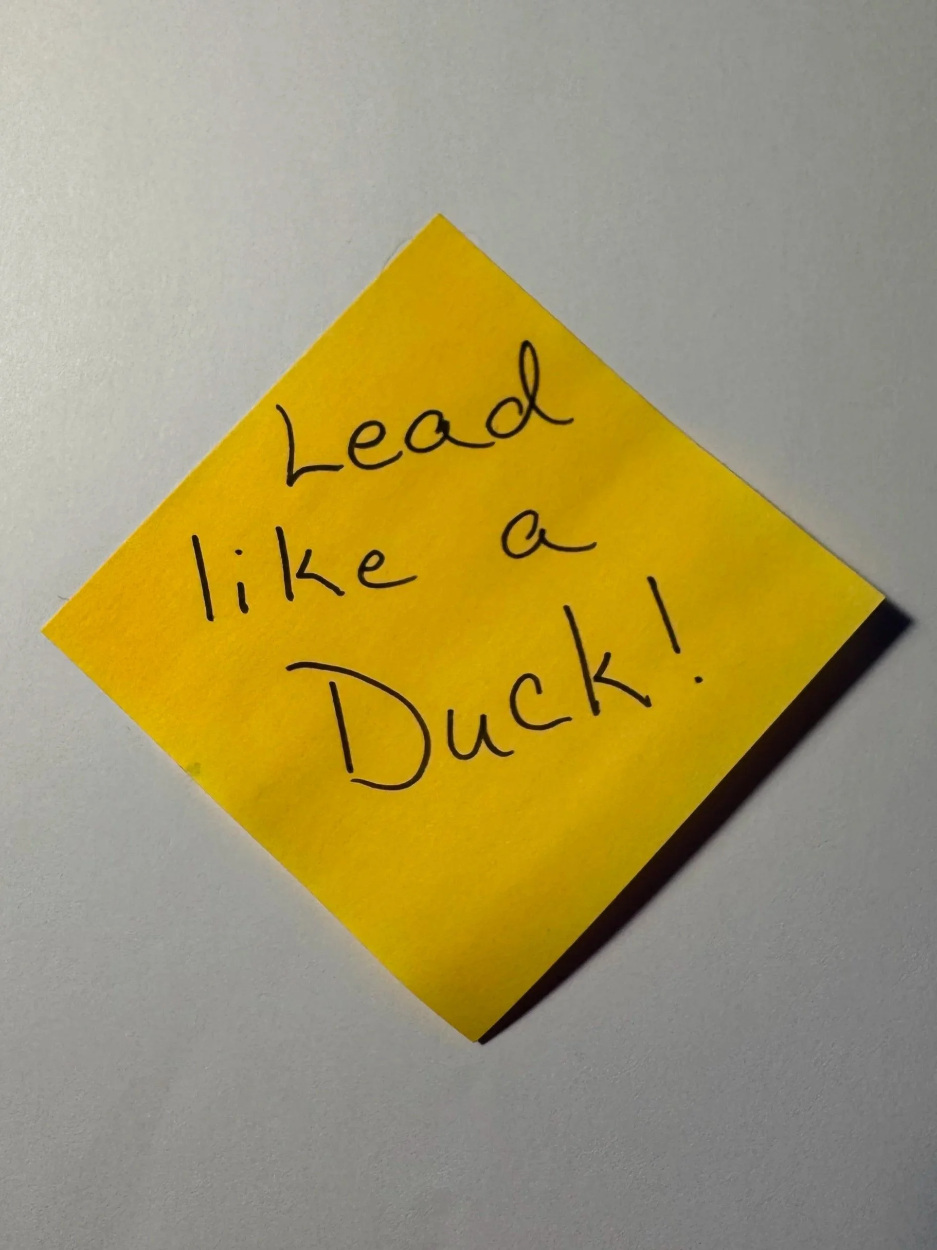 Lead Like a Duck