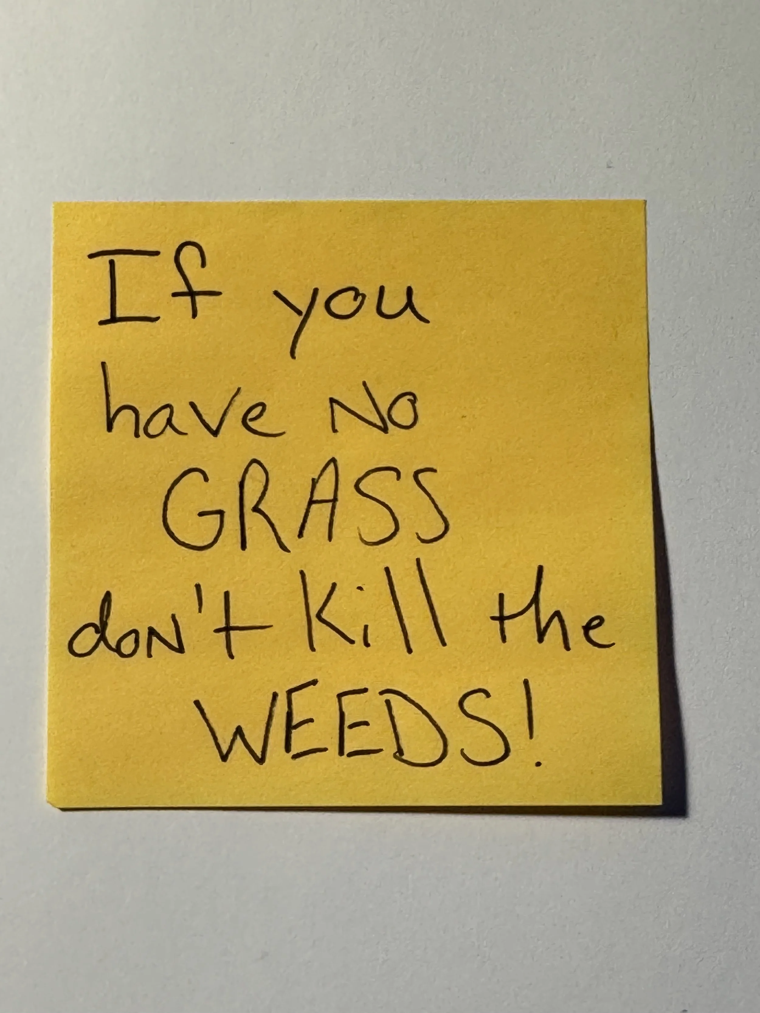 If You Have No Grass Don’t Kill the Weeds