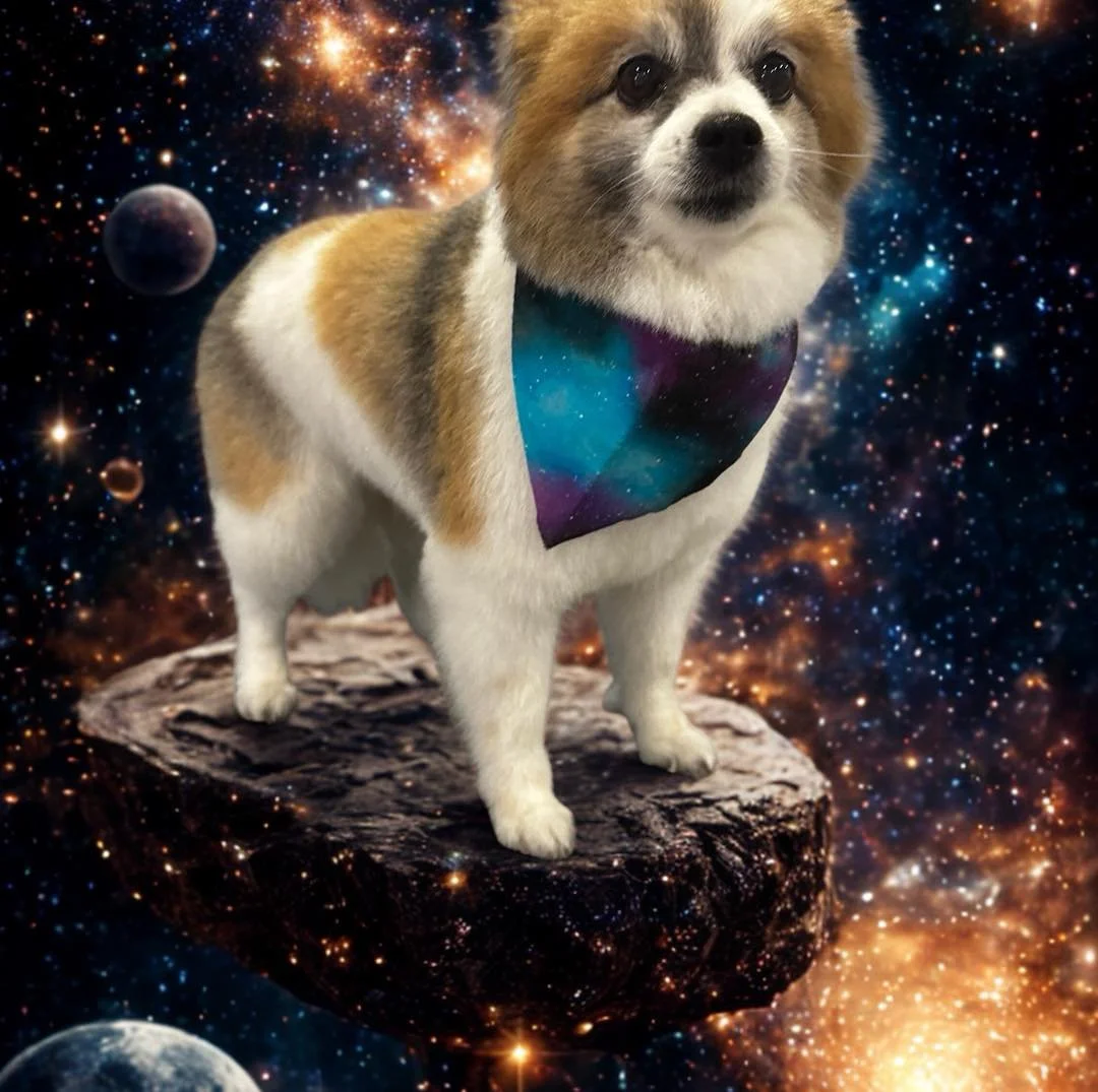 ✨Spring Is Launching &mdash; Time to Orbit Into Freshness!✨
📅 February Available Slots (Comet Cleans &amp; Solar Flares Only): 
🌠 Feb 23 &mdash; 9 AM
🌠 Feb 26 &mdash; 1 PM
🌠 Feb 27 &mdash; 9 AM
🛰 Walk-In Wednesdays still open for quick-speed ser