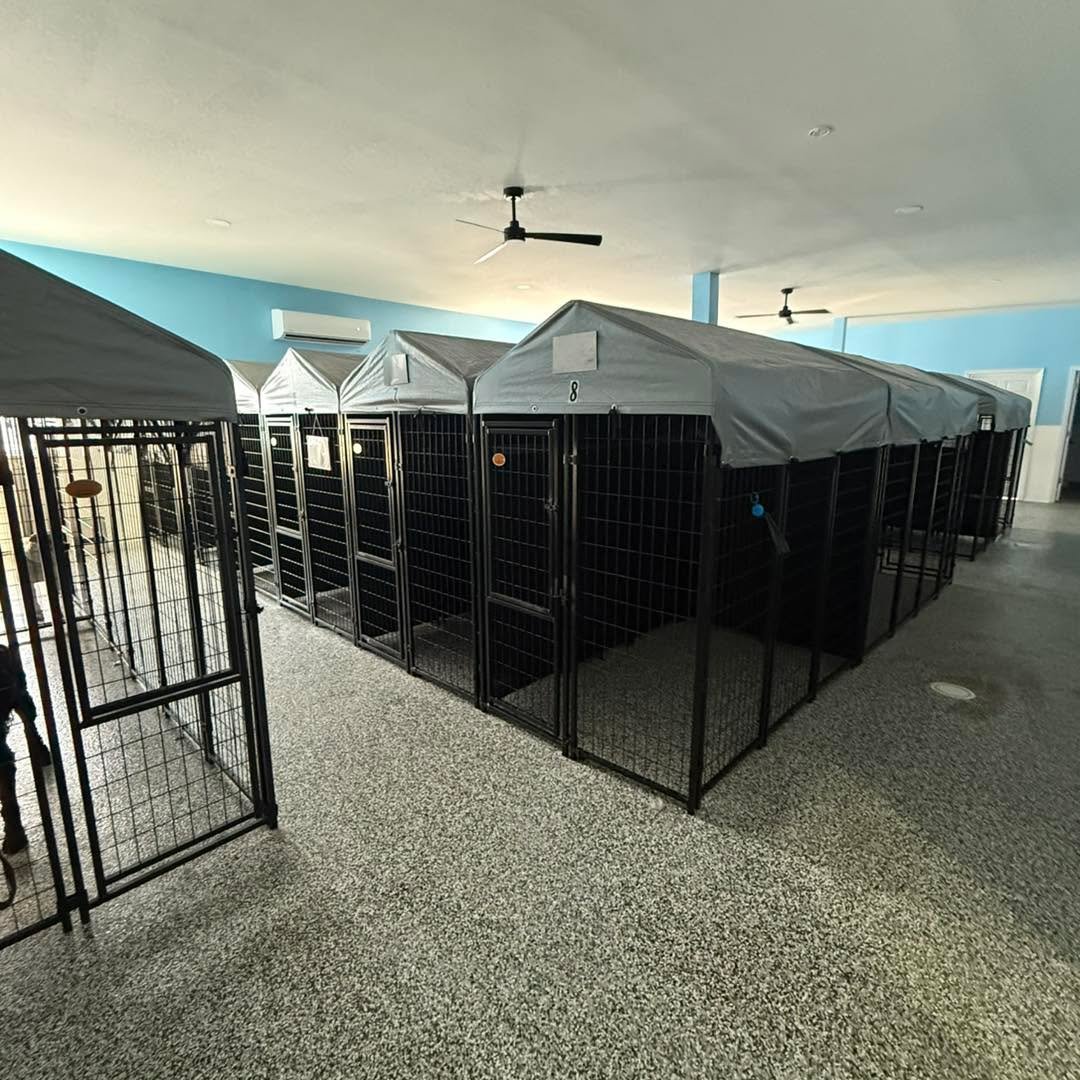 Going out of town and need a safe, trusted place for your pets? 🐾

At Amazing Grace Pet Space, we go beyond basic boarding&mdash;we provide a safe, engaging, and enriching experience your pet will actually enjoy.
We are enrichment and training focus