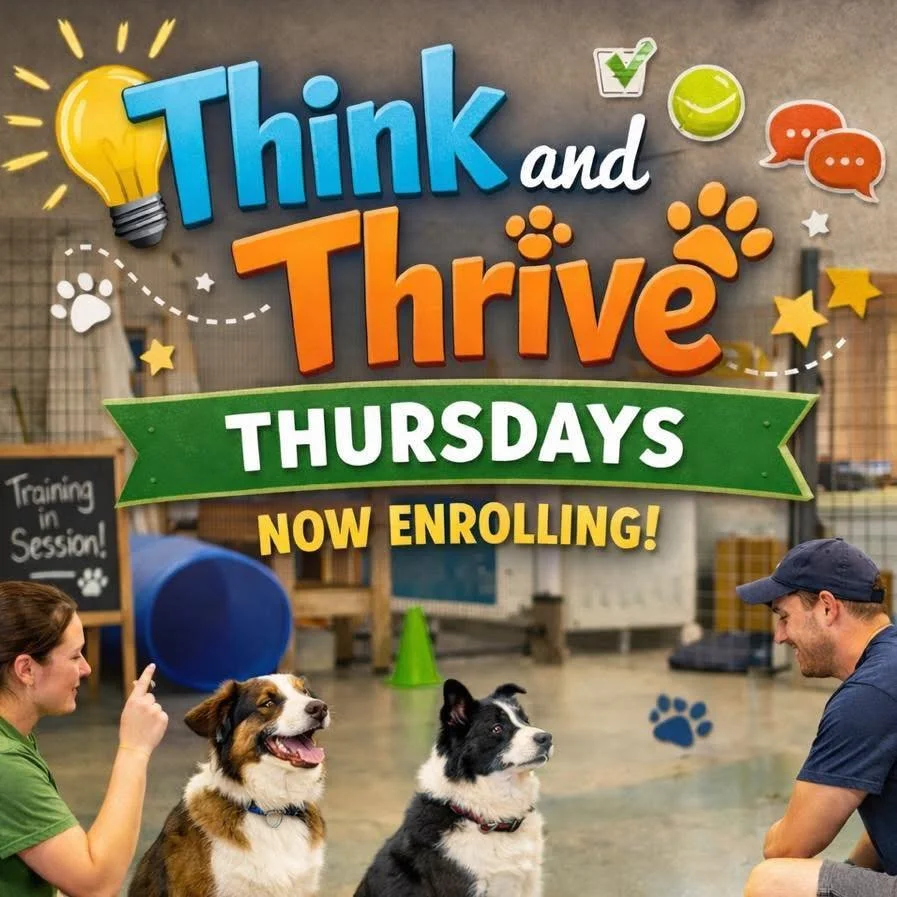 We&rsquo;ve got exciting news &mdash; Think &amp; Thrive kicks off next week and we still have a few spots open! 🧠🐶

Not able to pick up right after the session? No problem &mdash; we can easily add daycare to your pup&rsquo;s day so they can keep 
