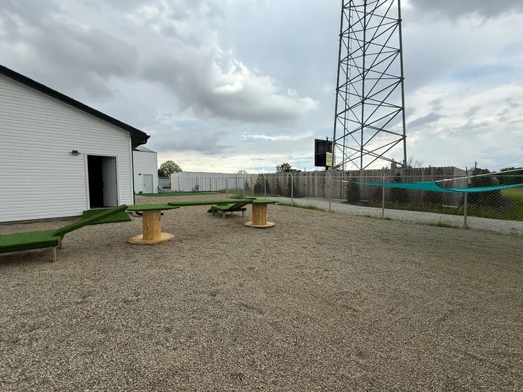 Jump + Dig Proof Outdoor Yard