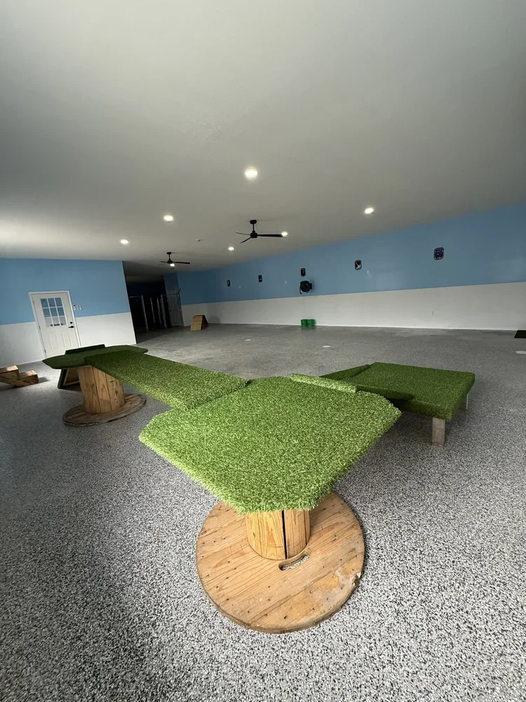 Large Play Yard With Play Equipment