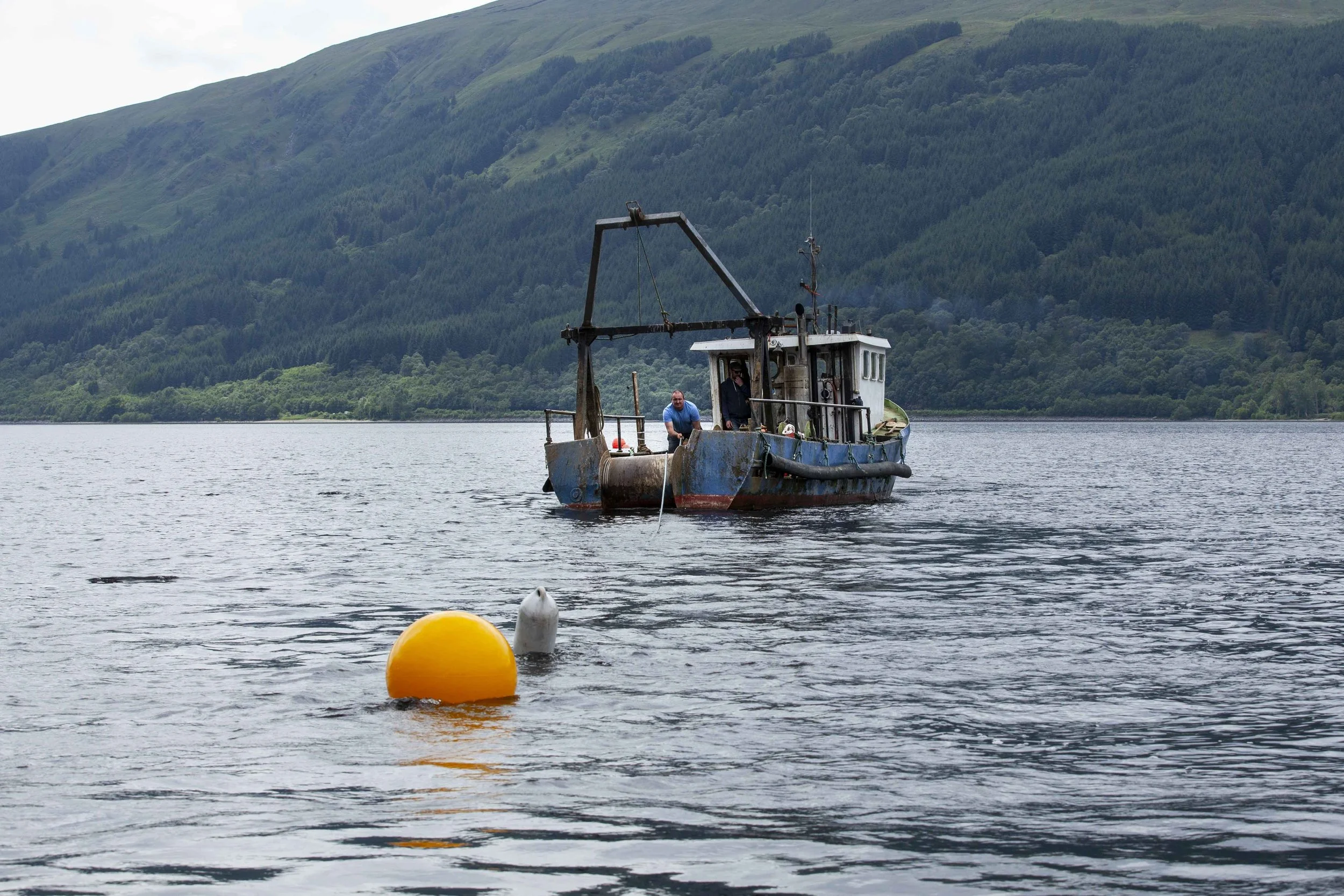 Mooring Inspections & Servicing at Loch Lomond
