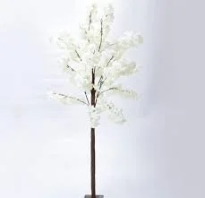 6' White Cherry Blossom Tree