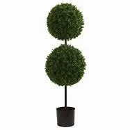 4' Boxwood Double Ball Topiary