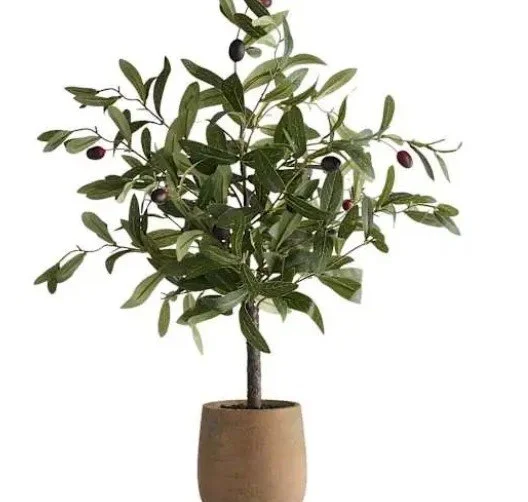 26in Olive Topiary in Ceramic Pot