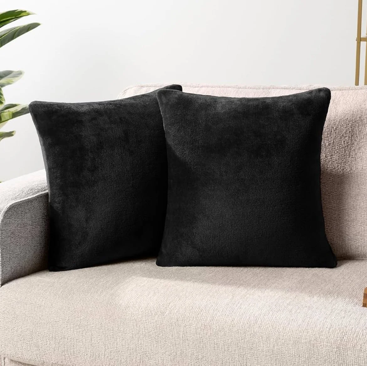 IMG_6228 (1).jpg (Copy)