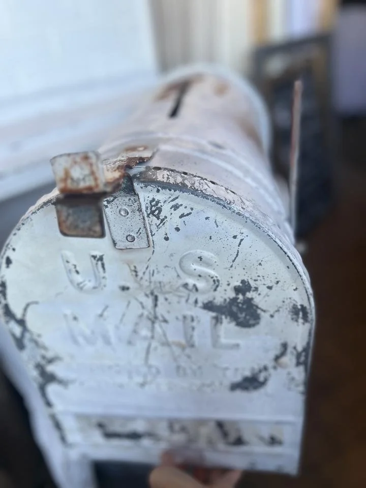 c0d52770-bb9e-11ee-93f5-e955752ad289 (1).jpg