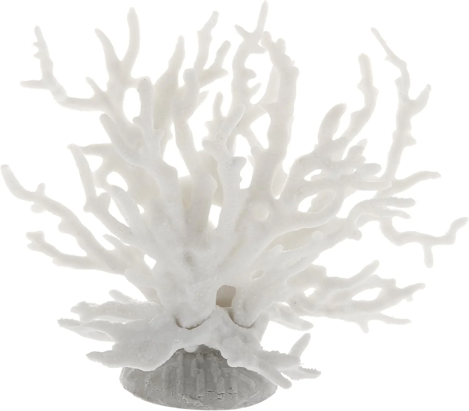 White Coral Reef