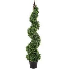 4' Boxwood Spiral Topiary