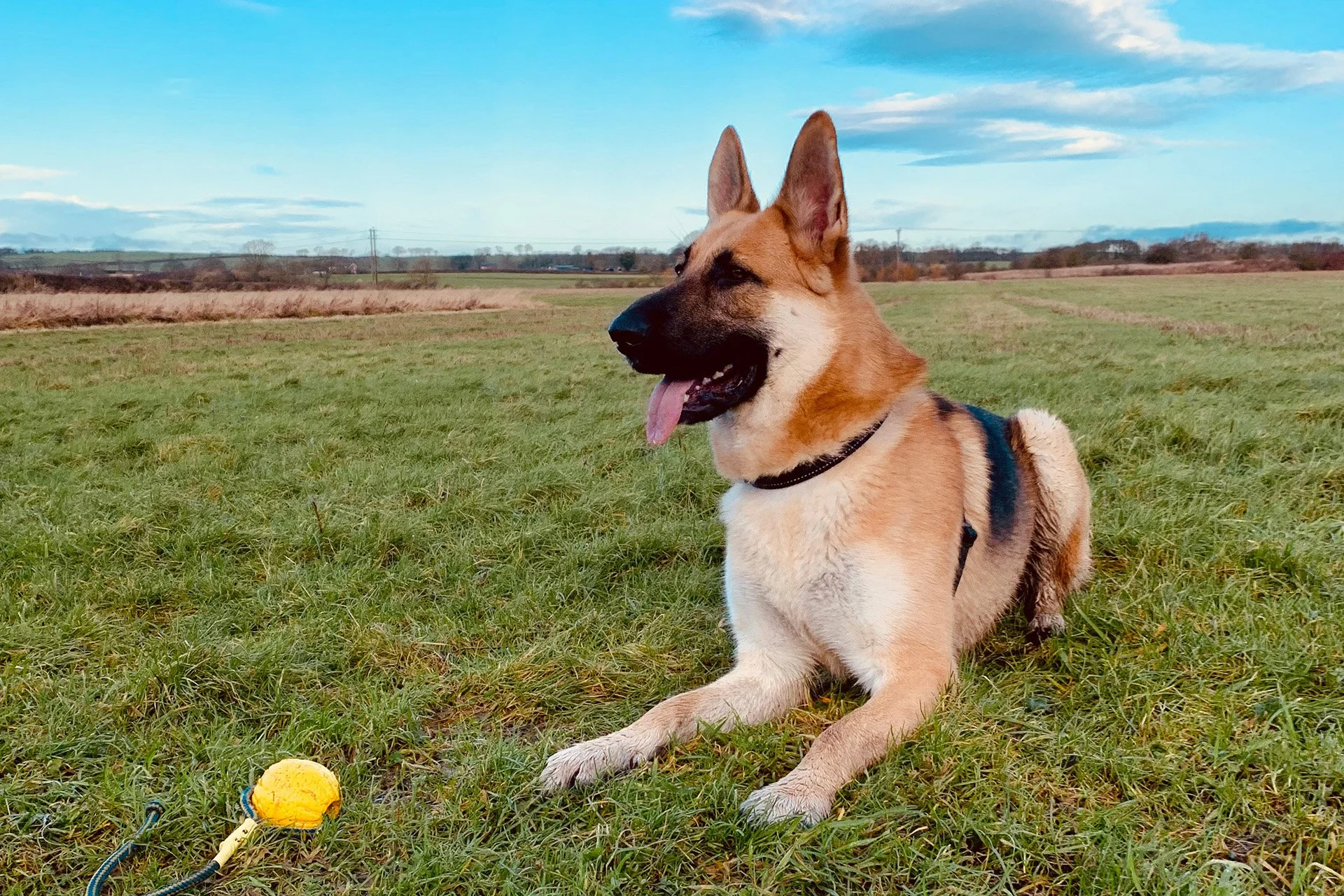 How To Build Drive Without Causing Chaos