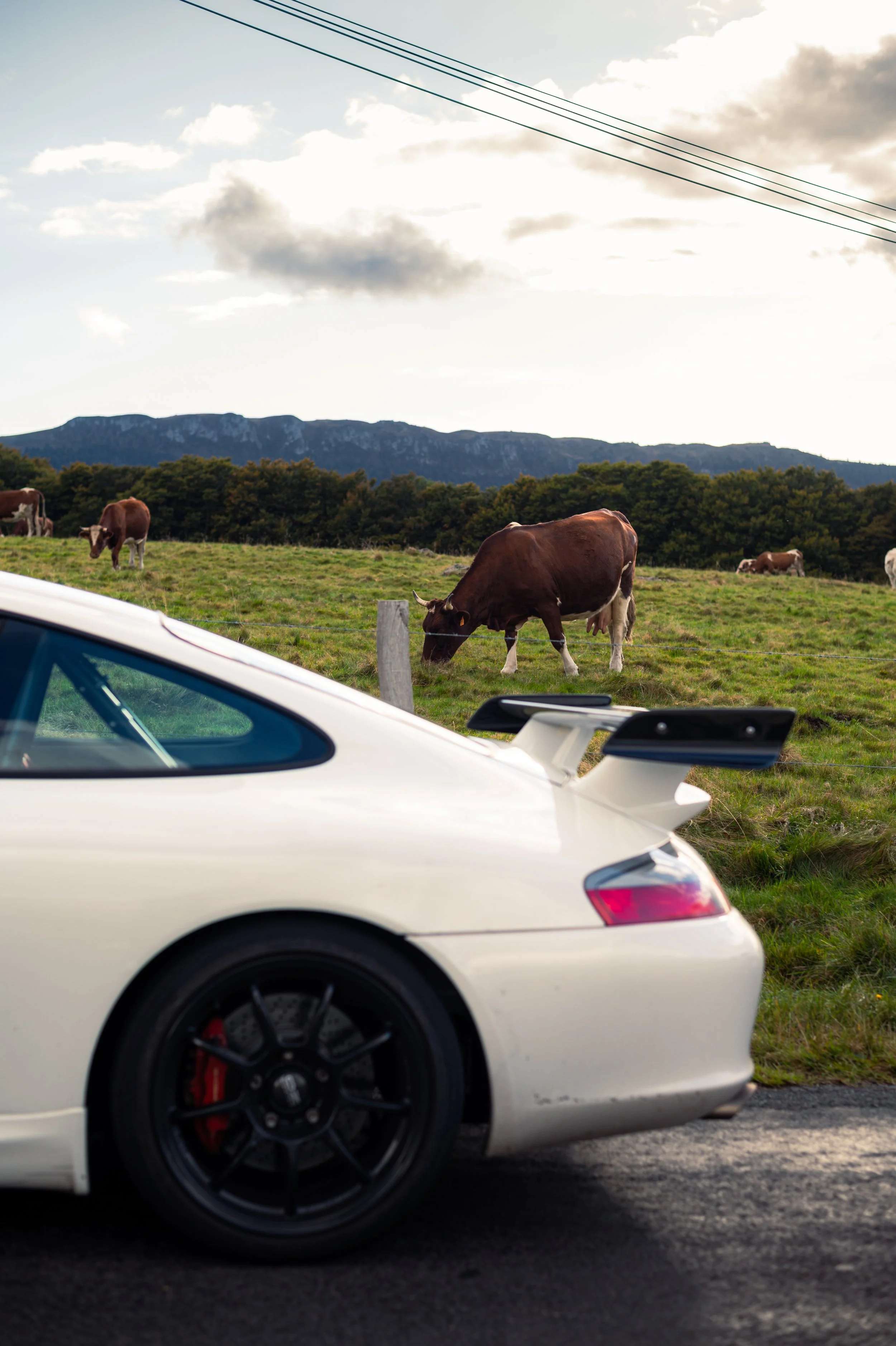 A white Porsche 911 (996) GT3 ClubSport parked on the side of a rural road with a grassy field and grazing cows in the background, mountains, and cloudy sky.