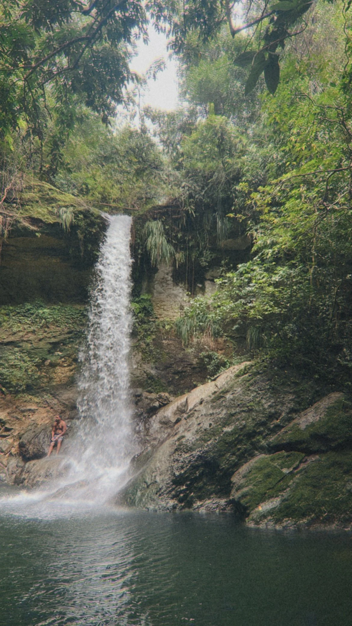 A small waterfall in a lush, green forest.