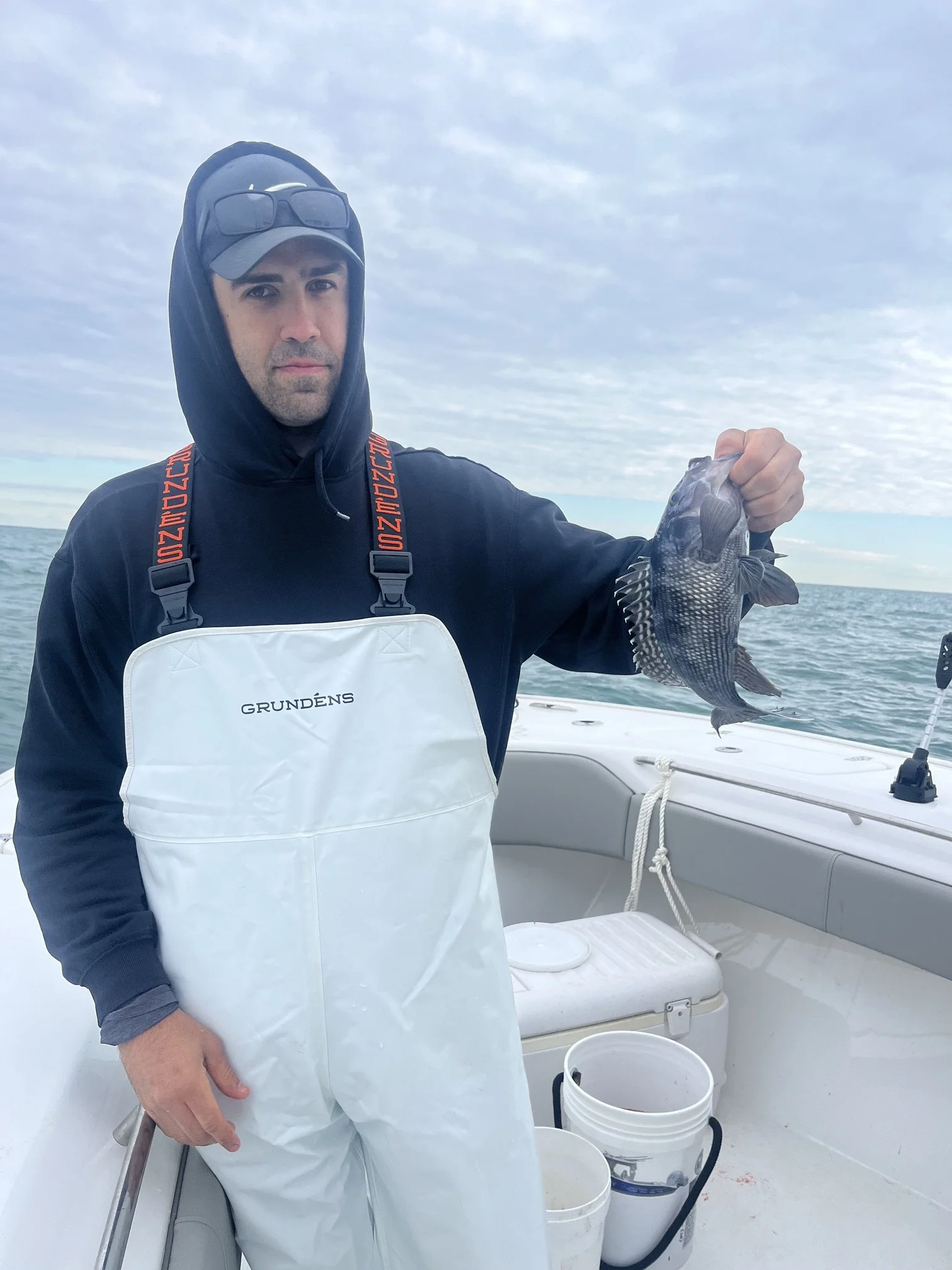 seabass2.jpeg