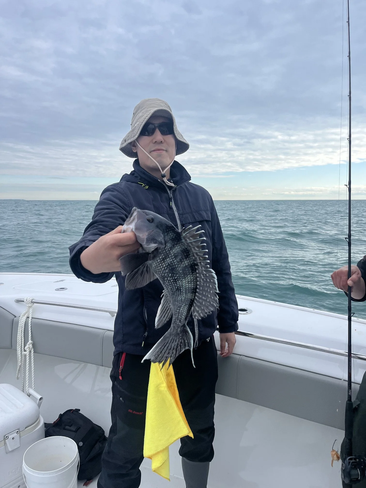 seabass.jpeg