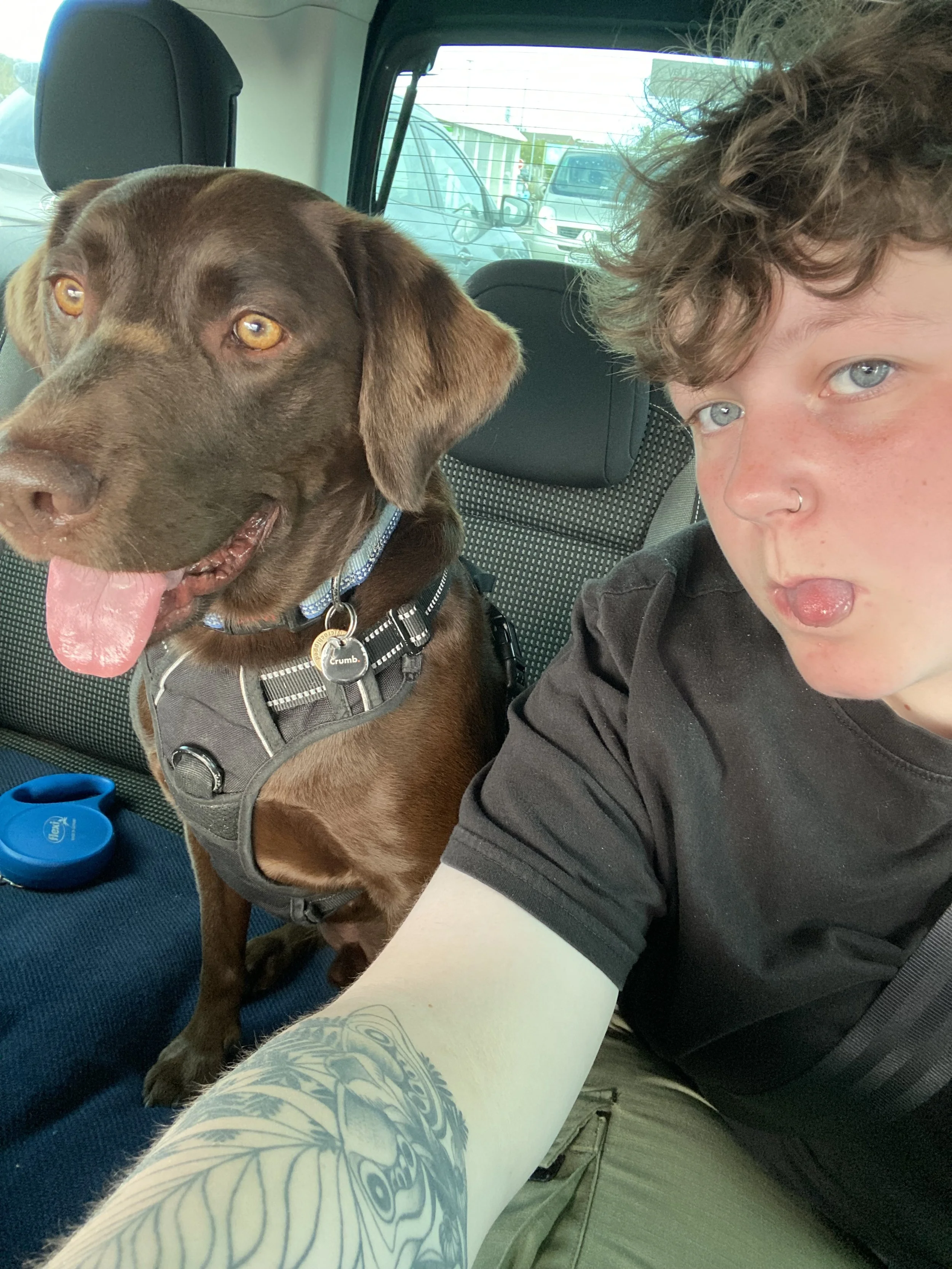 A young person with curly hair, light skin, and a nose ring taking a selfie with a brown dog with amber eyes and a tongue out in the backseat of a car.