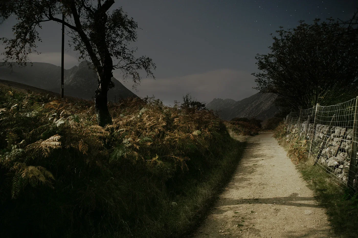 A dirt trail running through a rural landscape at night, with trees and mountains in the distance and a wire fence on the right side.