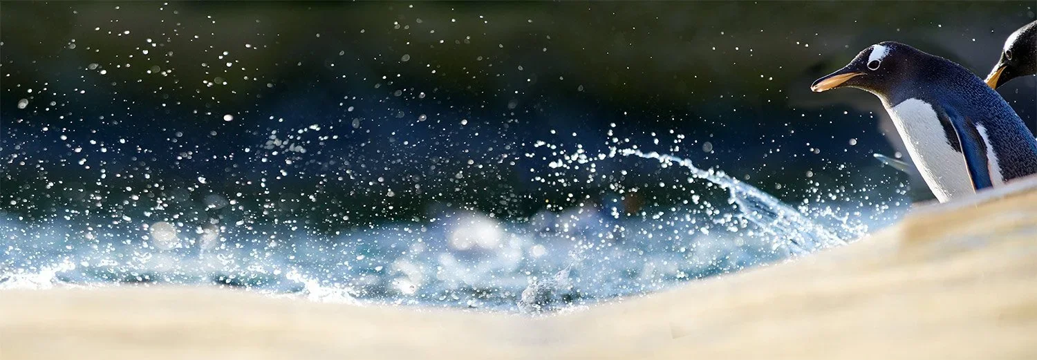 Two penguins on ice with water splashing in the background.