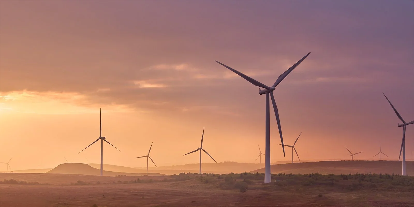 A landscape of wind turbines during sunset with purple and orange sky.