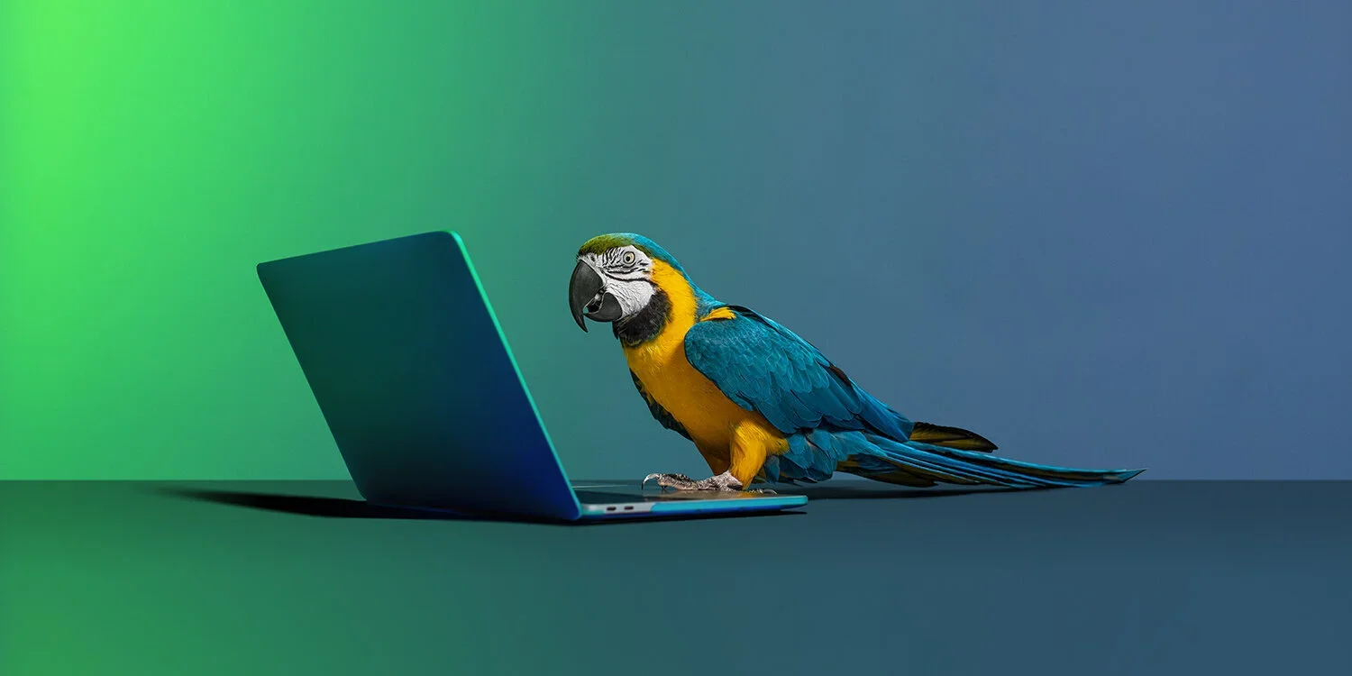 A colorful macaw bird with blue, yellow, and green feathers, perched next to an open laptop with a gradient green and blue background.