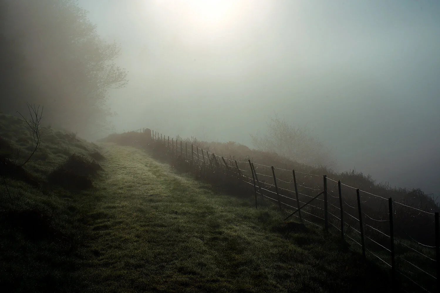 A foggy landscape with a grassy path running alongside a barbed wire fence, trees in the background barely visible through the fog.