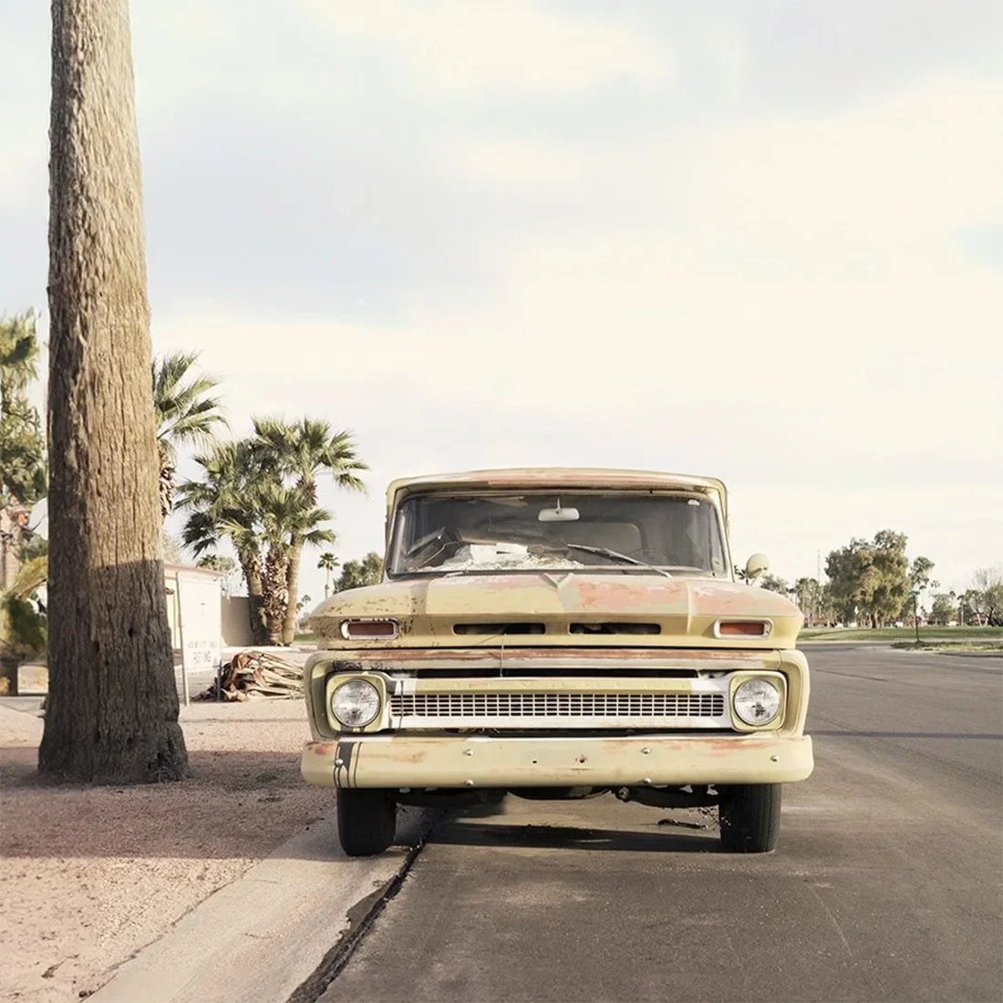 An old, weathered yellow truck parked on the side of a paved street near a large tree with palm trees in the background.