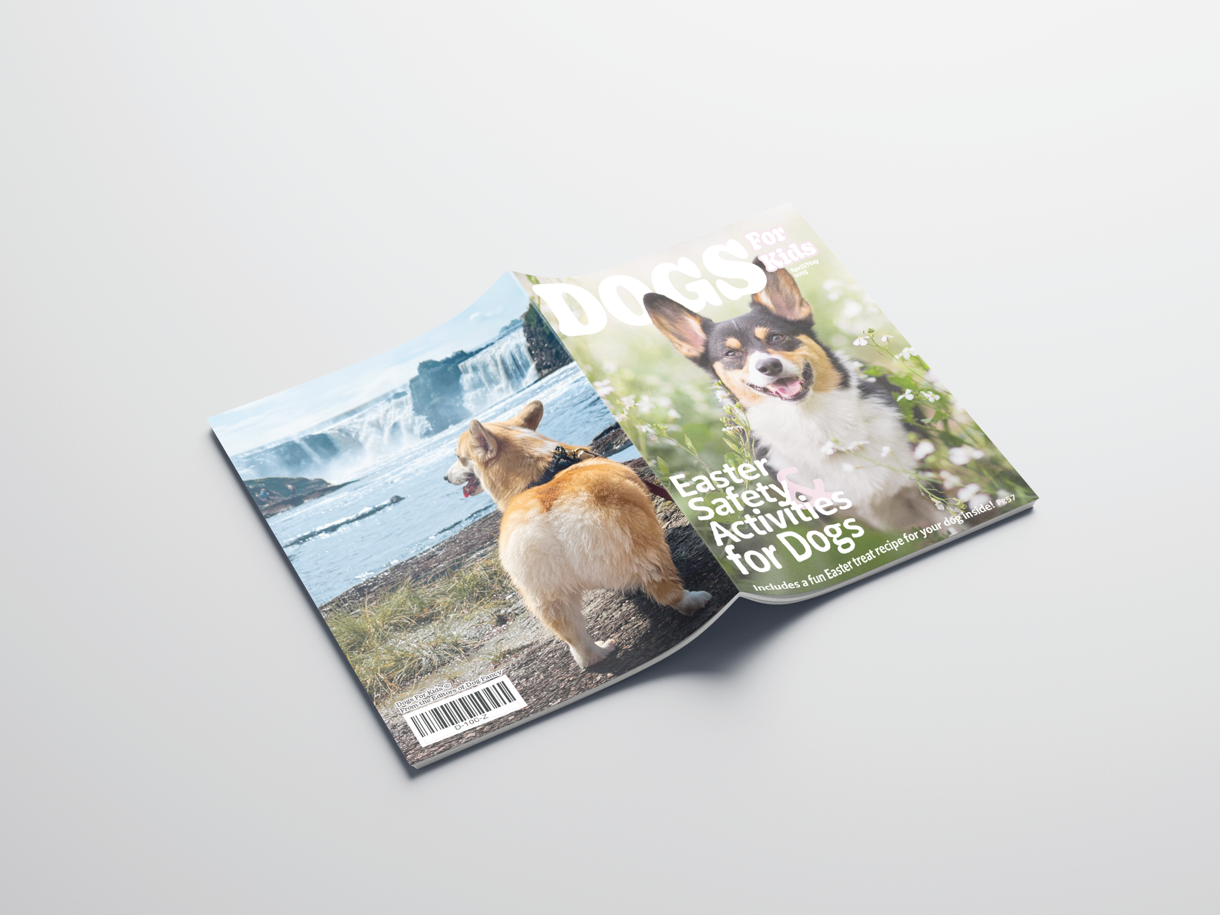 Cover and Back Mockup.png