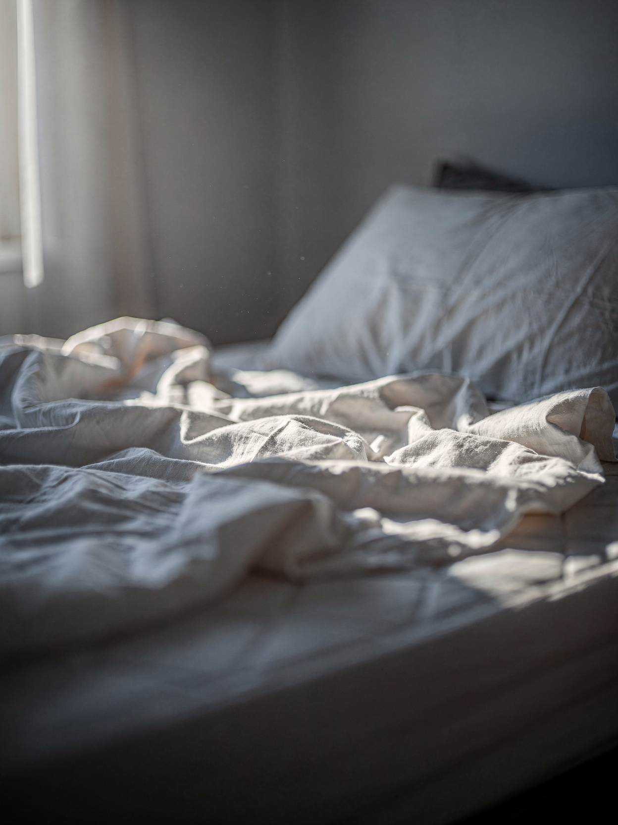 What Renewal Looks Like for Trauma Survivors