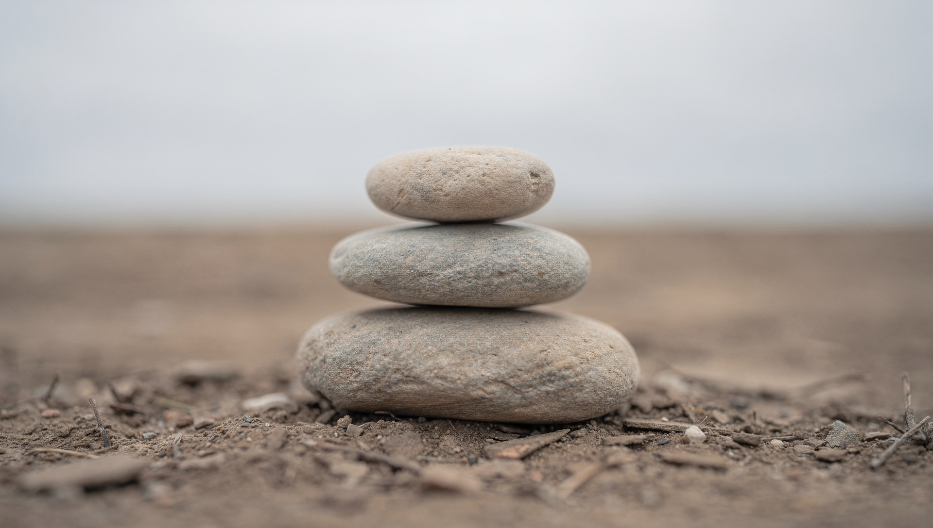 Anxiety therapy to reduce overwhelm and chronic worry