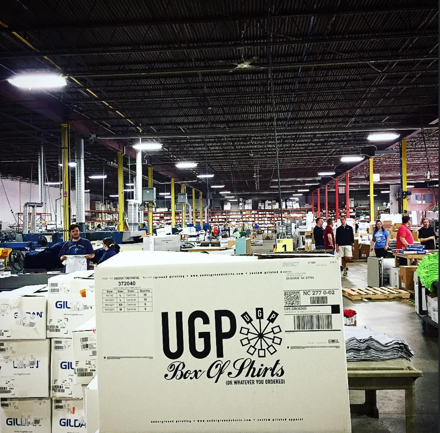 UP Branding Photoshoots.png