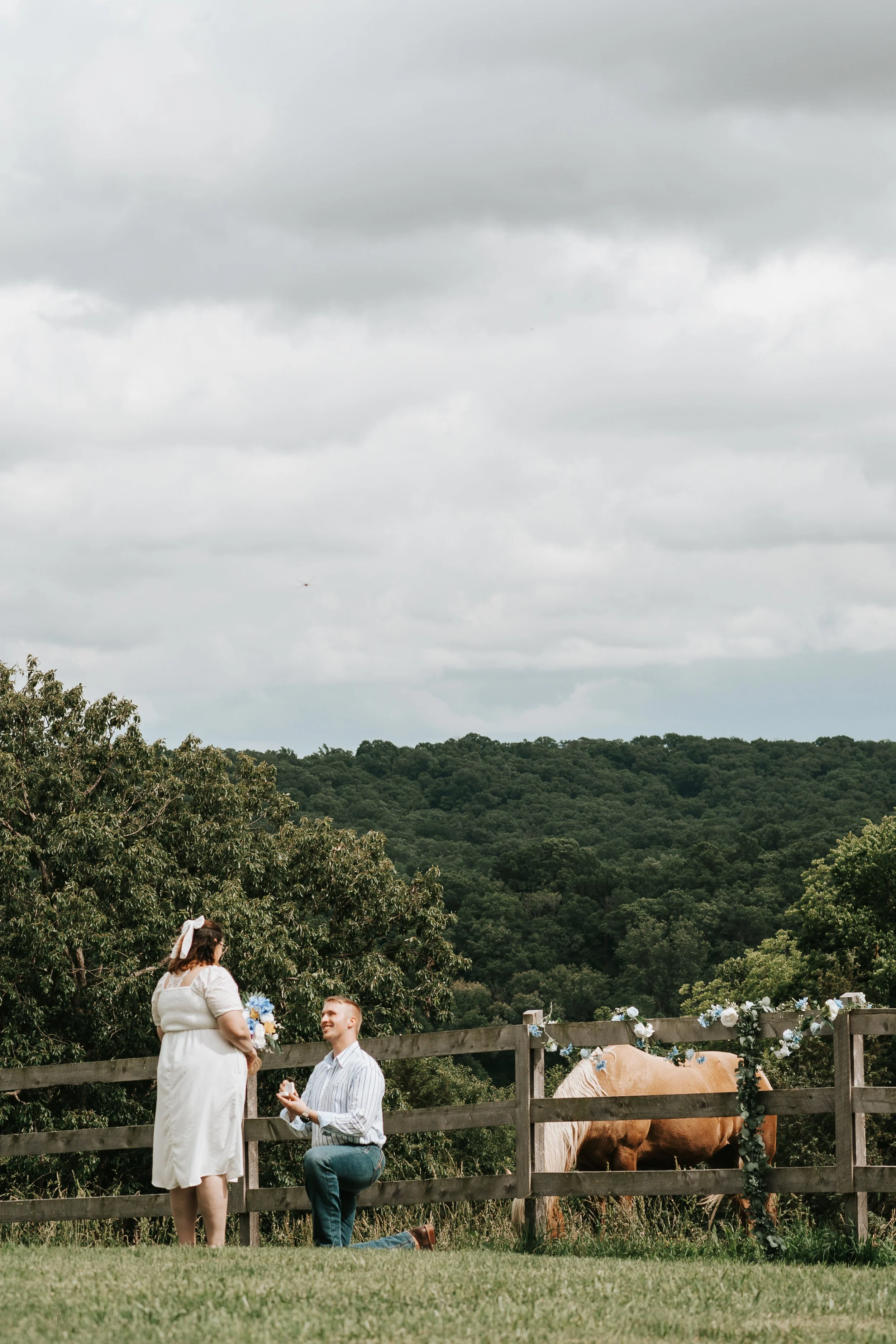LilienneMediaCo_DaileyEngagement_003.jpg