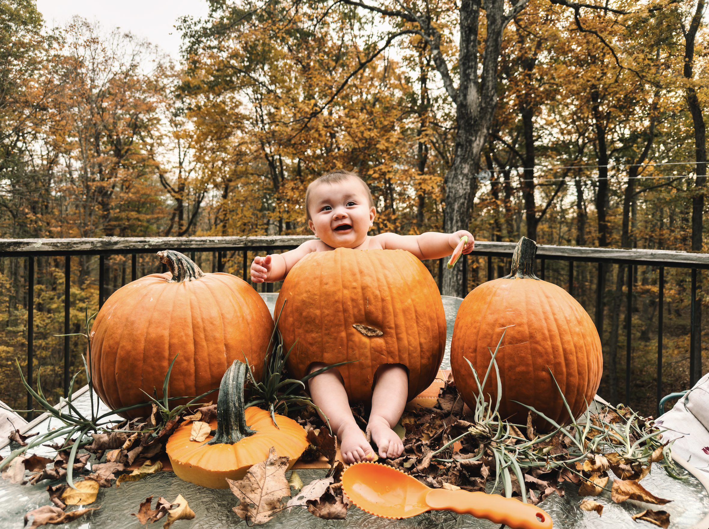 LilienneMediaCo_Levi1stHalloween_004.png