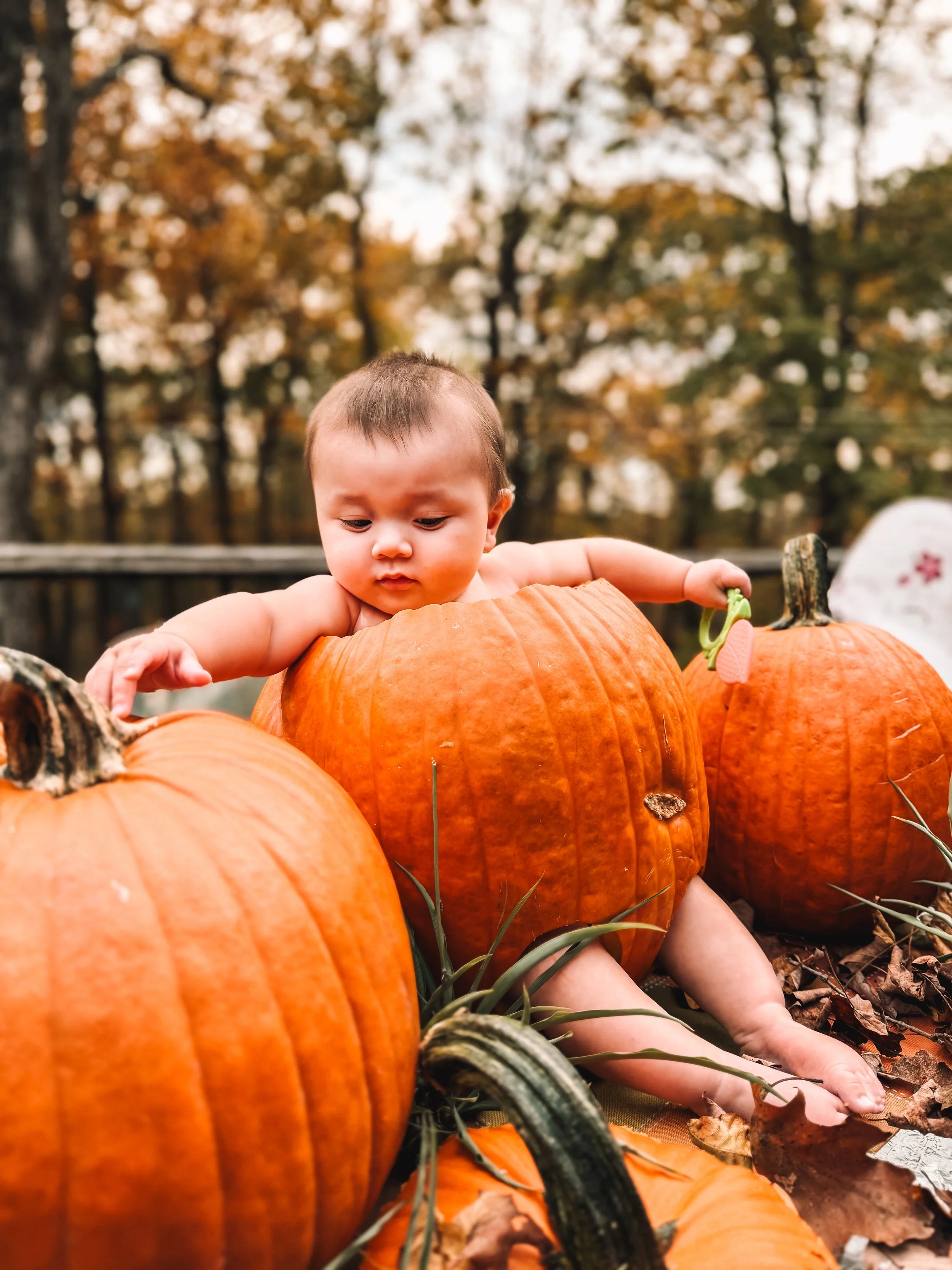 LilienneMediaCo_Levi1stHalloween_002.jpg