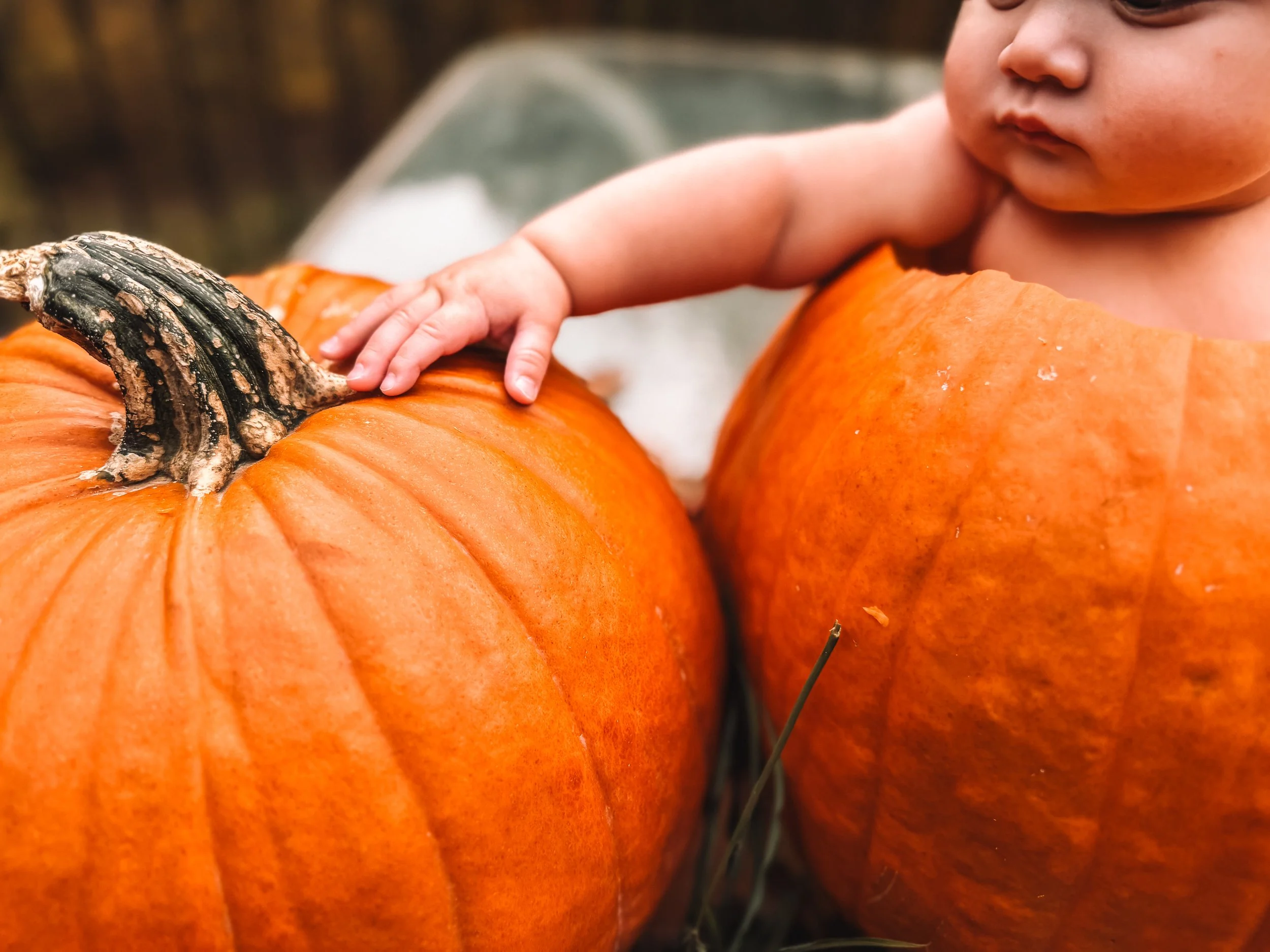 LilienneMediaCo_Levi1stHalloween_001.jpg