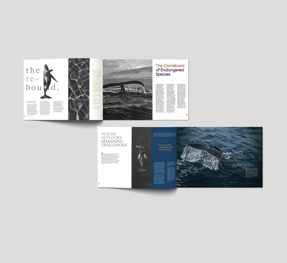 An open magazine displaying articles about whales and environmental conservation, including images of whales breaching the water and illustrations of ocean scenes.