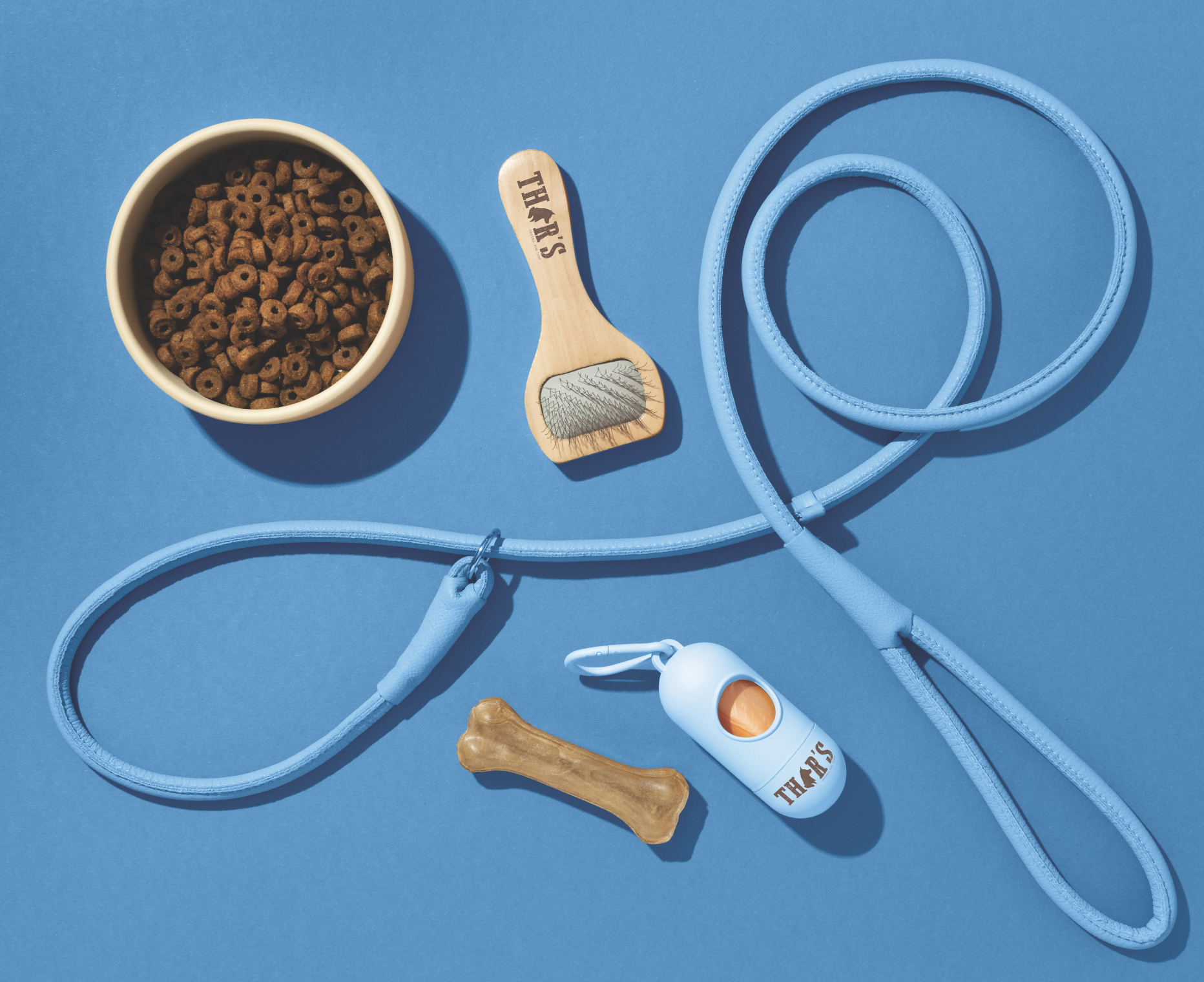 Dog leash, dog bowl filled with dry kibble, grooming brush, dog treat shaped like a bone, and a small container labeled 'Thor's' on a blue background.